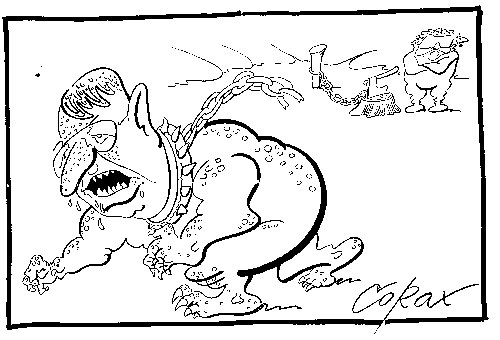 CORAX karikatura