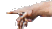Kamp